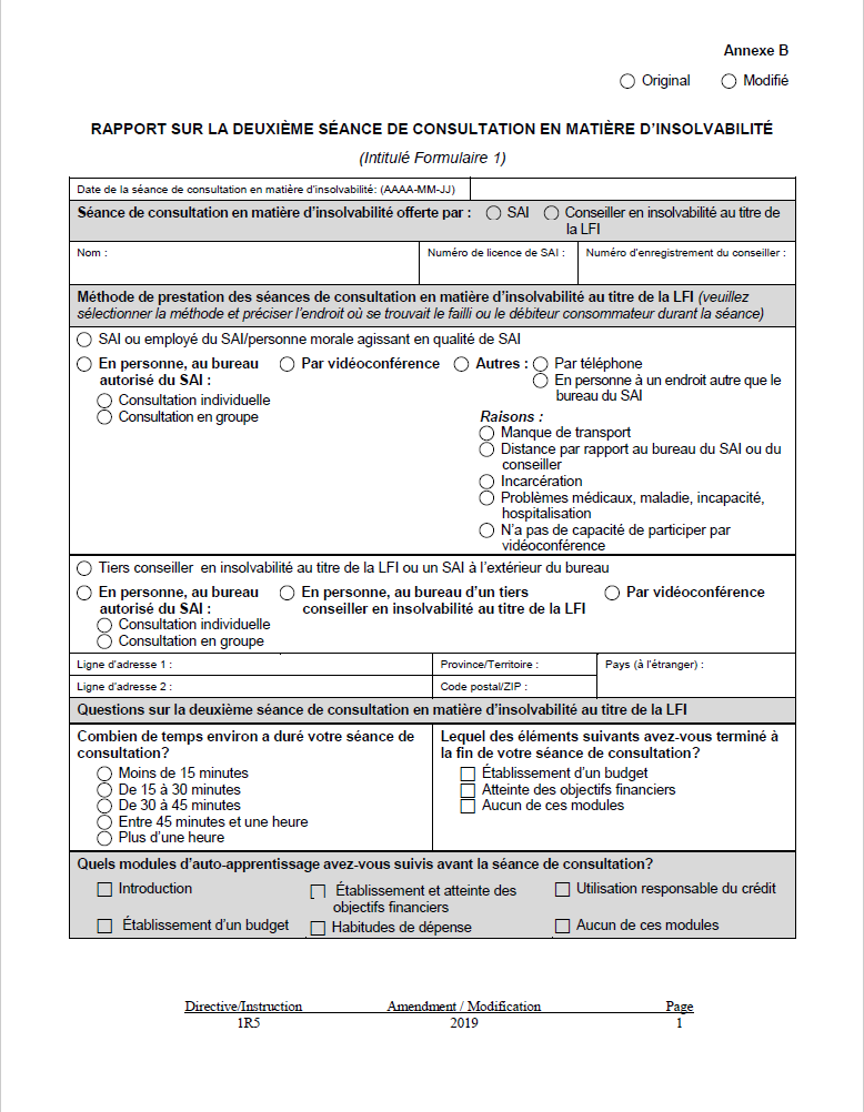 Annexe B - Rapport Sur La Deuxième Séance De Consultation En Matière D’insolvabilité (Intitulé Formulaire 1)