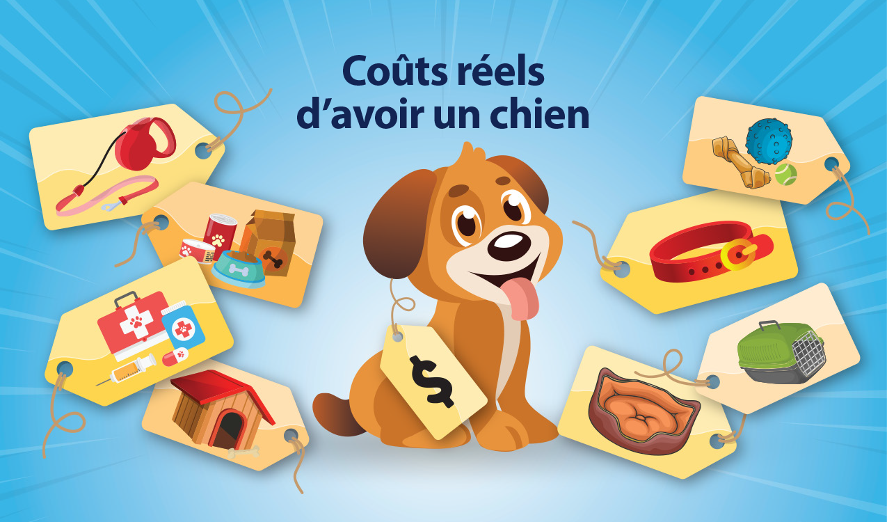 Une image de tout les coûts et les paiements additionnels associer avec l'achat d'un animal domestique