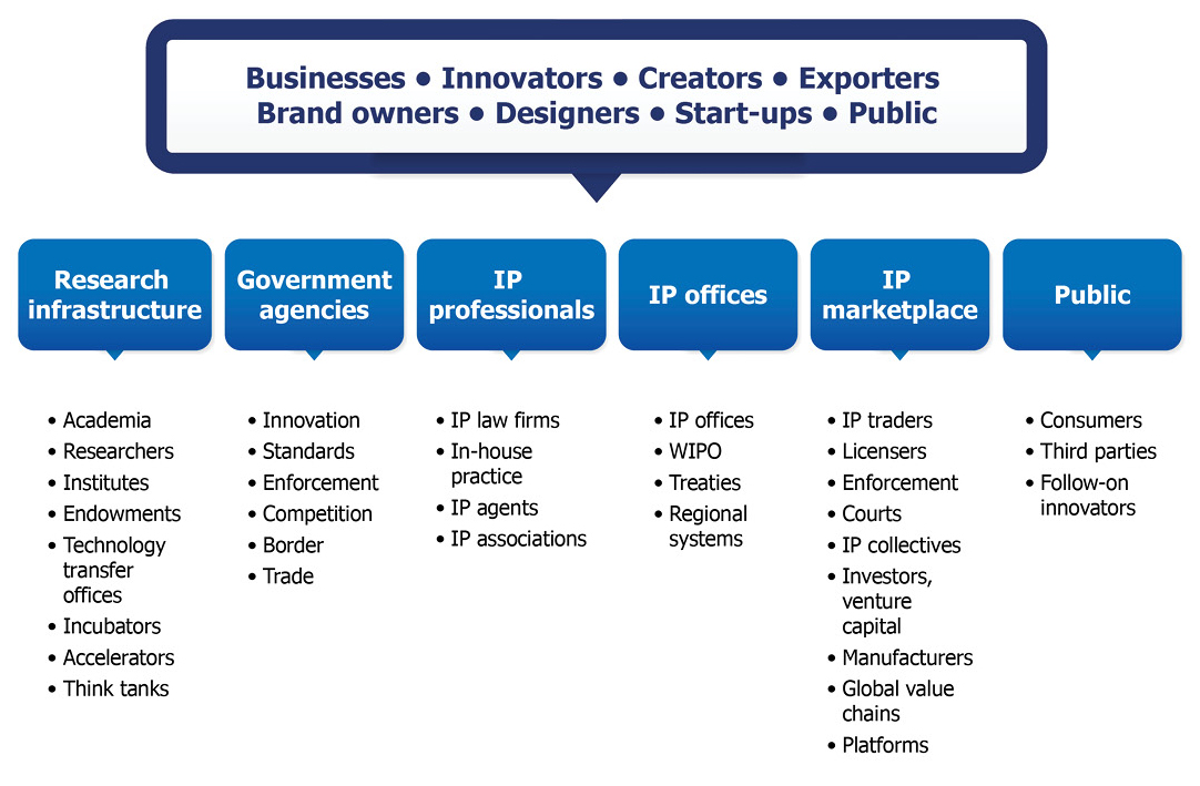 CIPO's partners include businesses, innovators, creators, exporters, brand owners, designers, start-ups and the public in research infrastructure and government as well as IP professionals, IP offices and the IP marketplace.