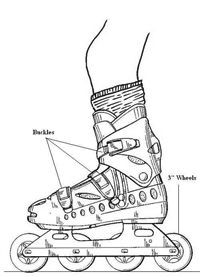 Side view of in-line skate with leg and with buckles and wheels labelled