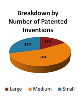 Data for Breakdown by Number of Patents
