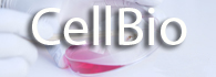 CellBio Therapeutics: Commercializing  Stem Cell Research