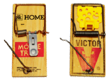 Find three improvements for these two mouse traps