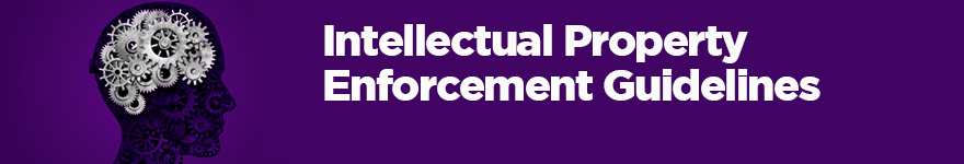 Banner for the Intellectual Property Enforcement Guidelines