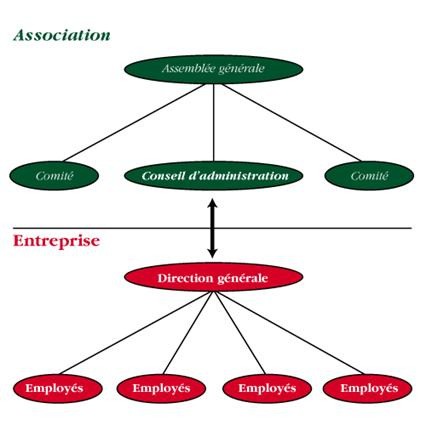 La structure d'une coopérative