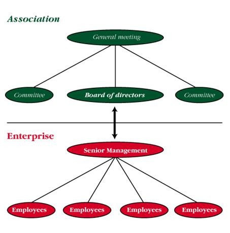 structure of an association and and enterprise