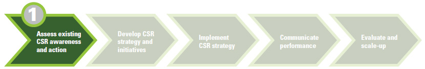 Task 1: Assess CSR Awareness and Action