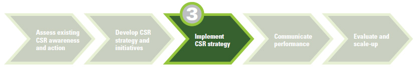 Task 3: Implement a CSR Strategy and Initiatives