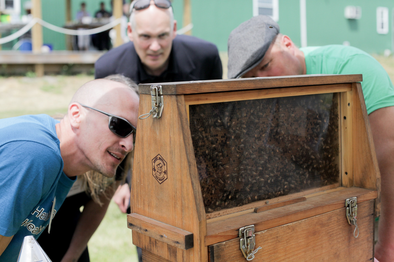 Honeybees now have a greater chance at survival thanks to NOD Apiary Product’s innovative product.