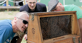 Faire jaser à propos de la santé des abeilles