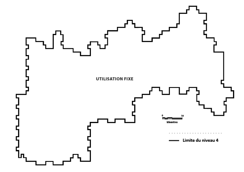 Figure 9 : État initial de la zone de niveau 4 hypothétique (niveau XYZ) qui précède la mise aux enchères