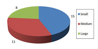 Pie chart of SADI Projects by Firm Size (Number) (the long description is located below the image)