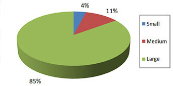 Pie chart of SADI Projects by Firm Size (Percent) (the long description is located below the image)