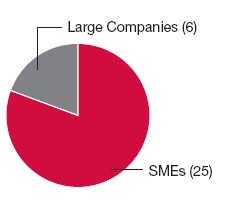 Pie Chart: Large Companies (6), SMEs (25)