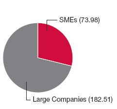 Pie Chart: SMEs (73.98), Large Companies (182.51)