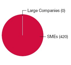 Pie Chart: Large Companies (0), SMEs (420)