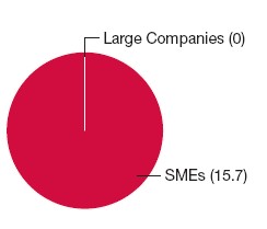 Pie Chart: Large Companies (0), SMEs (15.7)