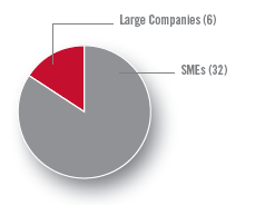 Large Companies (6), SMEs (32)