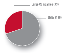 Large Companies (73), SMEs (169)
