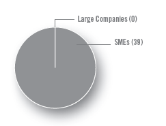 Large Companies (0), SMEs (39)