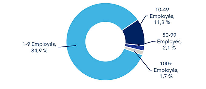 Figure 2 : Secteur des TIC : Répartition par taille d’entreprise, 2024