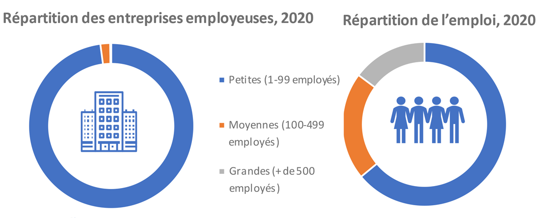 Répartition par classe de taille d'entreprise selon diverses mesures (%)