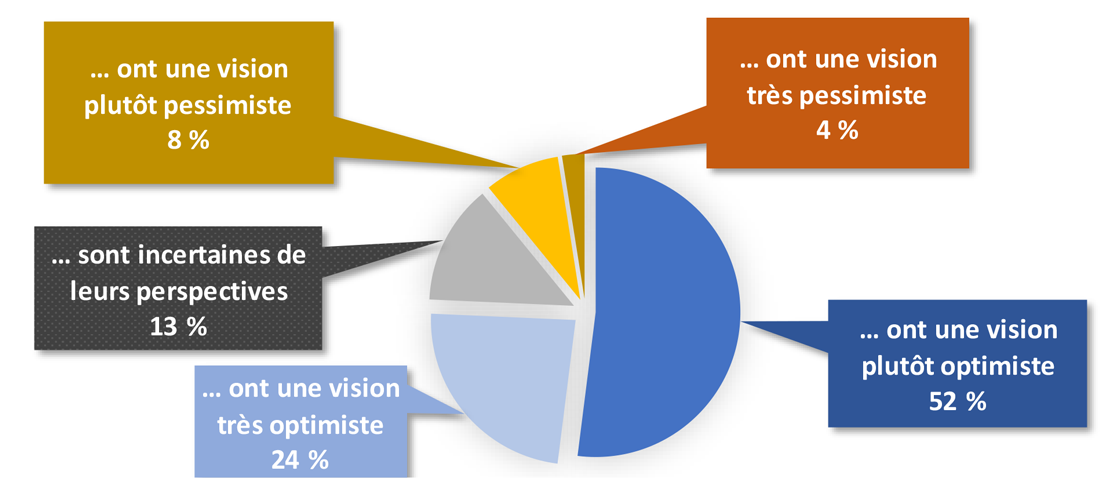 Perspectives d'affaires au cours des 12 prochains mois par degré d'optimisme