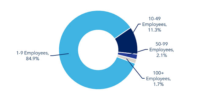 Figure 2: Companies by employee size for total ICT sector, 2024