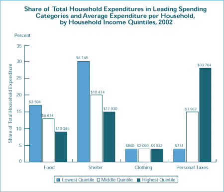 Share of Total Household Expenditures in Leading Spending Categories and Average Expenditure per Household, by Household Income Quintiles, 2002