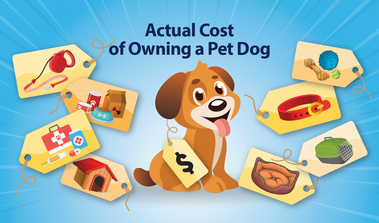 An image of all the costs to consider when purchasing a pet