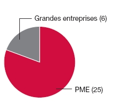 Graphique circulaire: Grandes entreprises (6), PME (25)