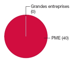 Graphique circulaire: Grandes entreprises (0), PME (40)