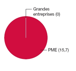 Graphique circulaire: Grandes entreprises (0), PME (15.7)