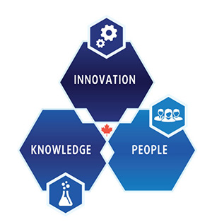 Image representing the People Pillar, the Knowledge Pillar and the Innovation Pillar