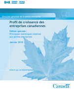 Couverture de la publication Profil de croissance des entreprises canadiennes