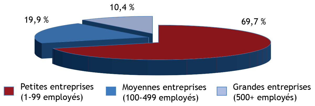 Graphique circulaire illustrant la distribution de l'emploi des entreprises du secteur privé selon la taille de l'entreprise, 2017 (la description détaillée se trouve sous l'image)