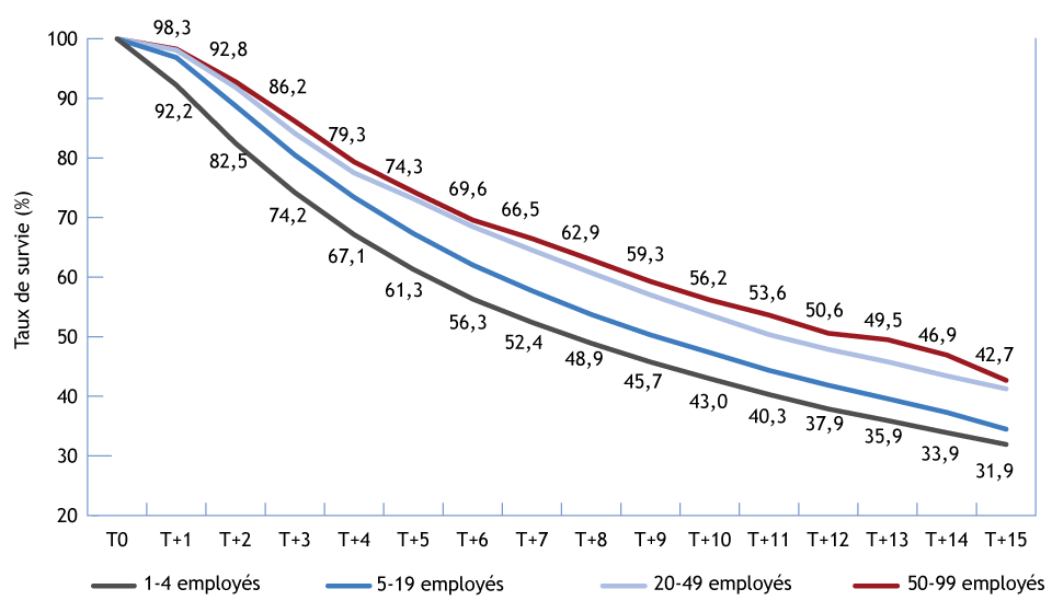 Graphique linéaire illustrant le taux de survie selon la taille de l'entreprise lors de son lancement (la description détaillée se trouve sous l'image)