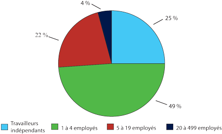 Figure 3 : Répartition des emprunteurs FPEC selon la taille de l'entreprise, 2004-2005 (la description détaillée se trouve sous l'image)
