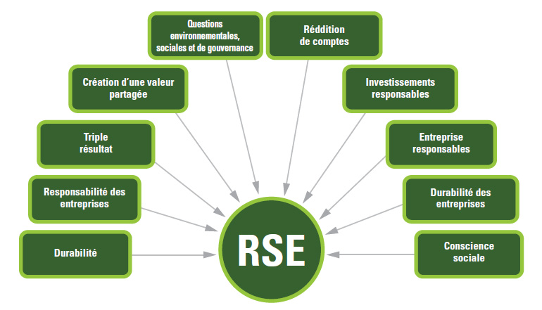 Termes désignent ce qu'on considère la RSE (la description détaillée se trouve sous l'image)