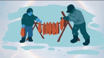 State of the Oceans - Arctic Char