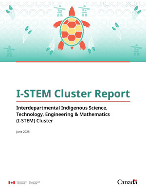 I-STEM Cluster Report