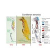116. Cordilleran Terranes (1972)