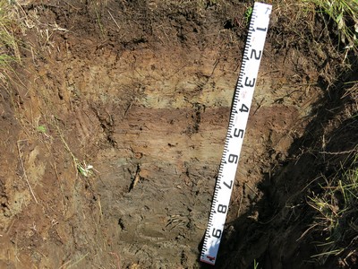 Tsunami Deposits