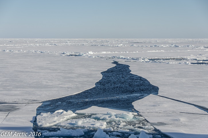 Very close pack ice with a crack to cruise through.