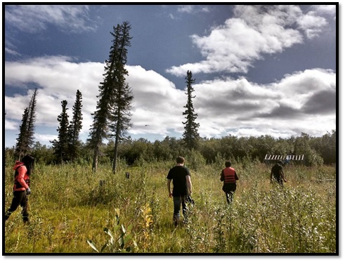 La collection des traces GPS sur le delta du Mackenzie.