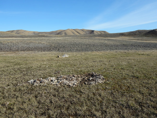 Nous parcourons les endroits où des loups munis d'un collier ont passé plusieurs heures ou plusieurs jours, ou passent fréquemment. Étant donné que les loups se déplacent habituellement sans arrêt, quand ils s'arrêtent dans un endroit pour une période prolongée, c'est généralement parce qu'ils sont en train de se nourrir ou près de leur tanière. S'ils s'arrêtent moins longtemps, il est probable qu'ils se reposent ou qu'ils chassent du petit gibier.