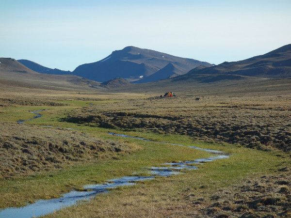 Nous allons à pied d'un endroit où il y a plusieurs données de localisation de loups à un autre afin de voir ce que les loups faisaient à ces endroits. Les coordonnées des colliers peuvent nous indiquer que les loups ont passé un certain à un endroit ou y sont passés plusieurs fois, et en les combinant avec les données recueillies par les colliers, nous espérons être en mesure d'évaluer à distance les taux de prédation - mais pour y arriver, nous devons nous rendre où ces grappes ont été recensées afin de déterminer s'il y a une carcasse et de quel animal il s'agit. Ces études nous ont aussi permis de trouver plusieurs nouvelles tanières que l'on peut vérifier tous les ans pour compter le nombre de loups et de louveteaux.