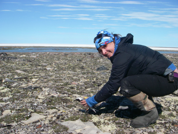 Lisa Pirie s'apprête à relâcher Aupajaangajuq. Le nom donné à l'oiseau signifie « orange » en inuktitut, en raison de la couleur de la bague qu'il porte à sa patte. Pour aider à répondre à des questions comme l'utilisation de haltes migratoires le long de la côte de l'Atlantique, la durée du séjour sur les sites de halte migratoire, l'utilisation des aires protégées au Canada et l'utilisation des lieux d'hivernage, nous fixons sur plusieurs pluviers argentés des transmetteurs à énergie solaire qui sont portés à la manière d'un sac à dos. Ces transmetteurs envoient des signaux de positionnement au système par satellite Argos tous les deux jours, ce qui nous permet de suivre les déplacements des oiseaux toute l'année. #CaraibesEnHiverArctiqueEnEte #grandsvoyageurs