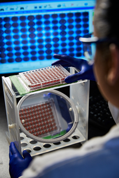 Inhibiting antimicrobial drug resistance
