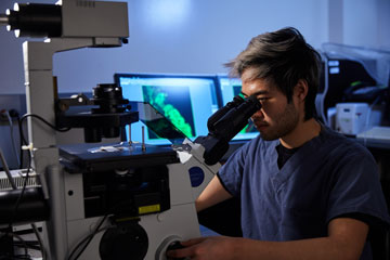 A scientist at NCFAD looks into a microscope.